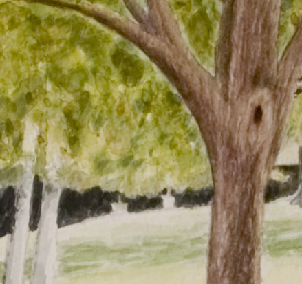 Original Watercolor Painting Close Up